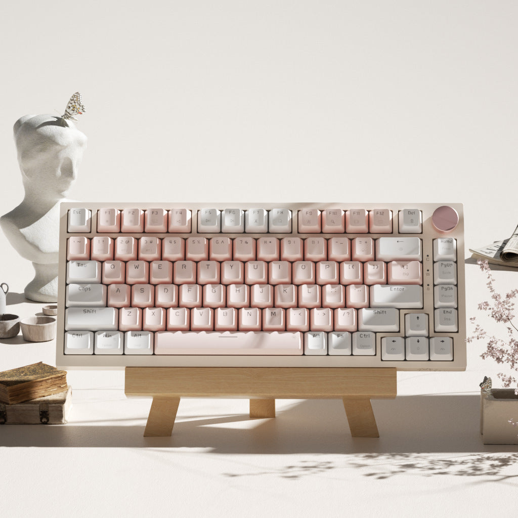Creative Color Gaming Office Keyboard